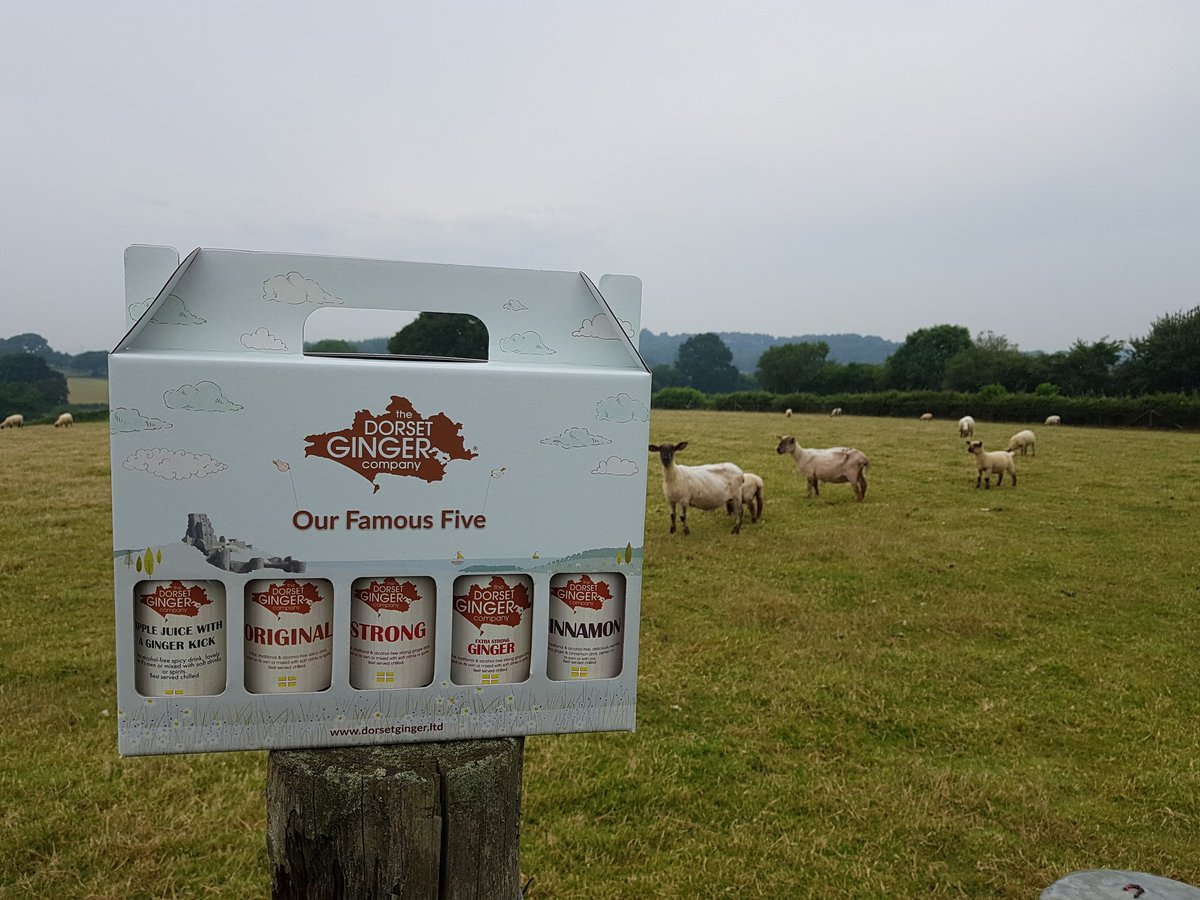 Lashings of Dorset Ginger now available in this multipack. 
Our famous five! 
#lovewhatyoudo #famousfive #dorset #lytchettmatravers #ruralbusiness @Tasteofthewest