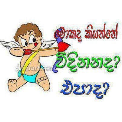 Gayan Sb (@khanlanka) on Twitter photo 