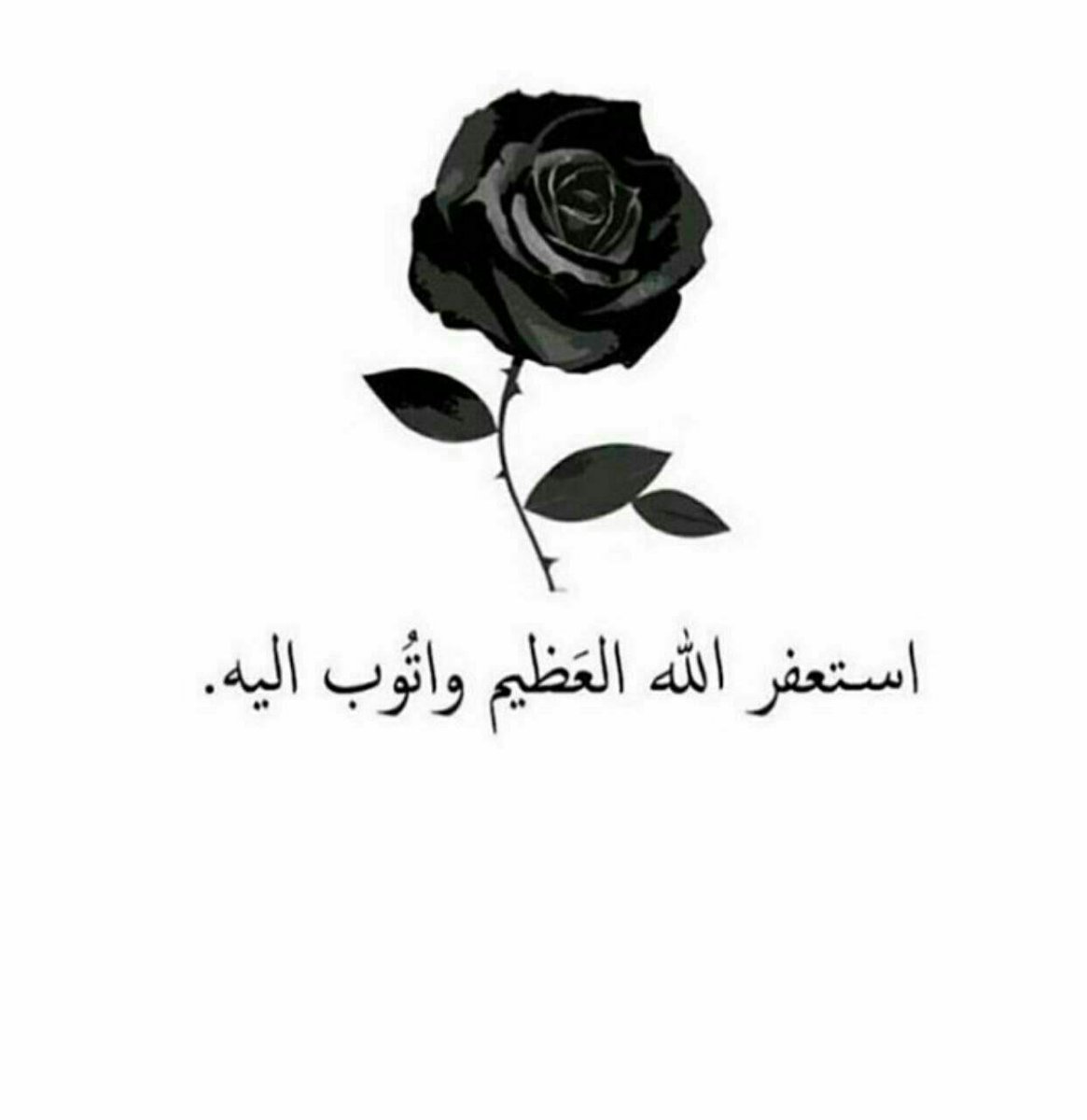 النهاري 💙💙 tweet media