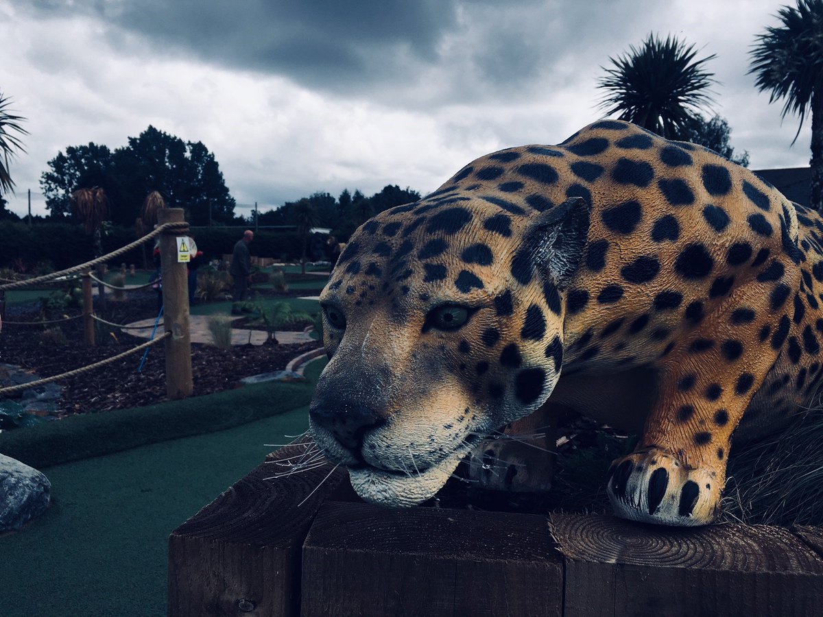 Cash for Kids Midlands tweet media