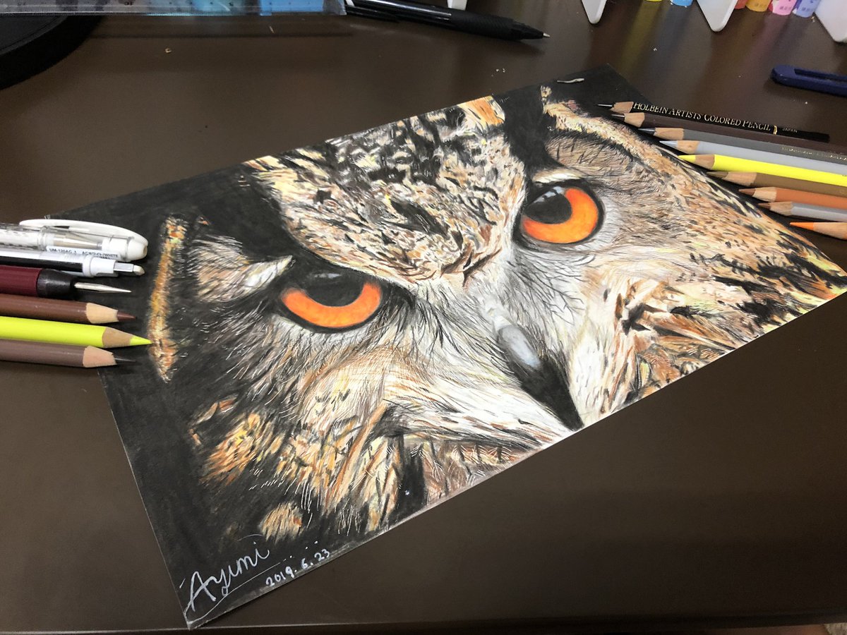 datechan764's tweet photo. 色鉛筆でミミズクを描きましたー！

初の動物絵&amp;リアル絵完成॑⸜(* ॑꒳ ॑*  )⸝✩.*˚
制作時間は30時間くらいです！！ https://t.co/DQv51Tq9wD