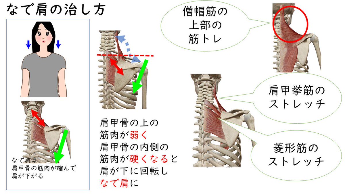 もむだけでなく 肩こり を原因から治す方法