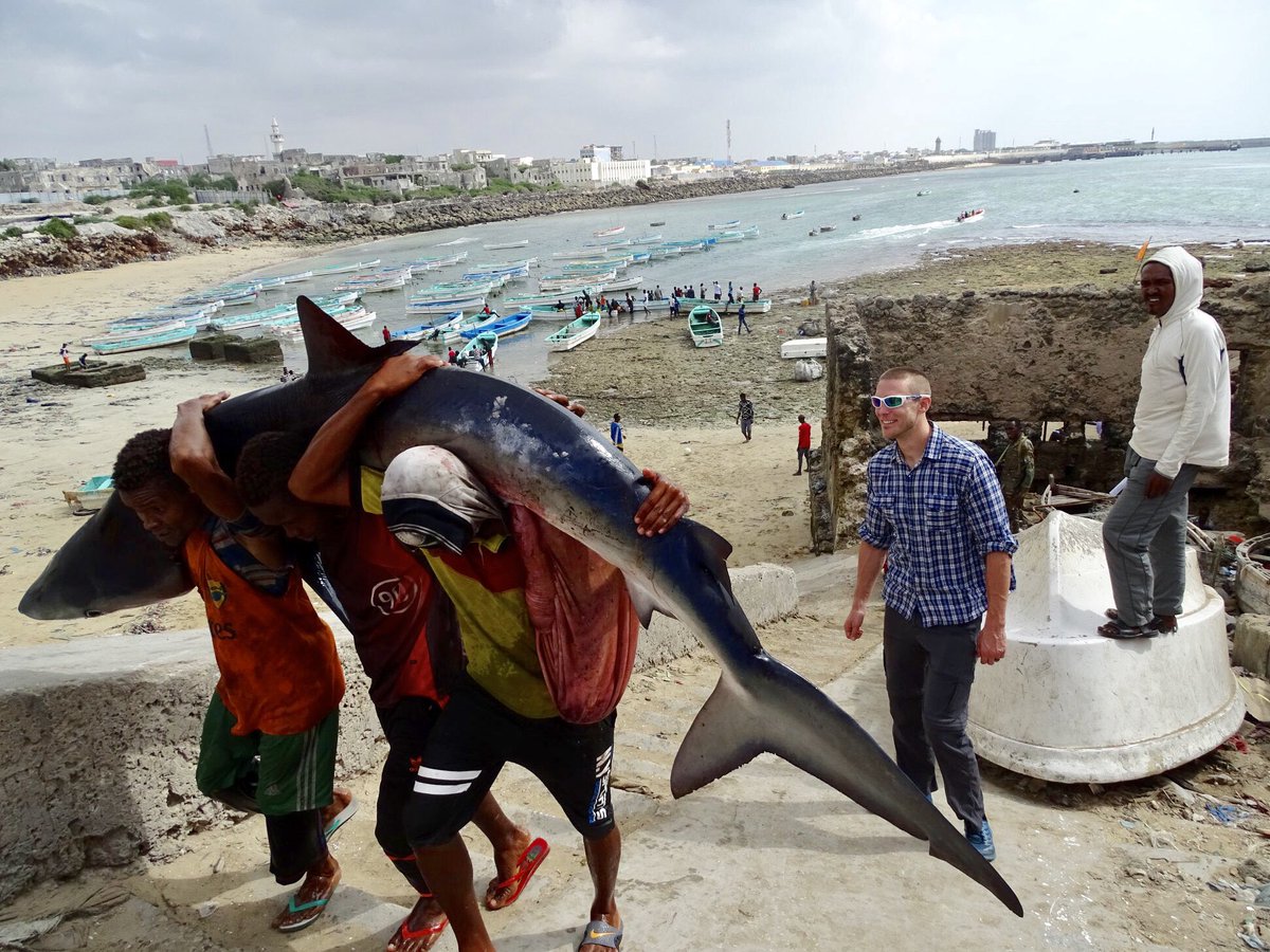 Western tourists recently visited Mogadishu’s #Hamarweyne fish market of #Somalia.

#Travel252
#Somaliatourism
#Mogadishutourism
#UNWTO