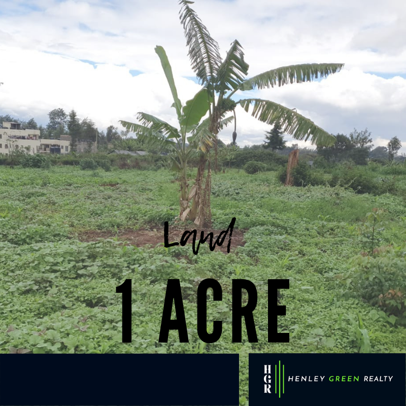 henleyrealty's tweet photo. Land in #Ruaka
More details: https://t.co/cPRNzh4H3H https://t.co/mZsSWrQeuh