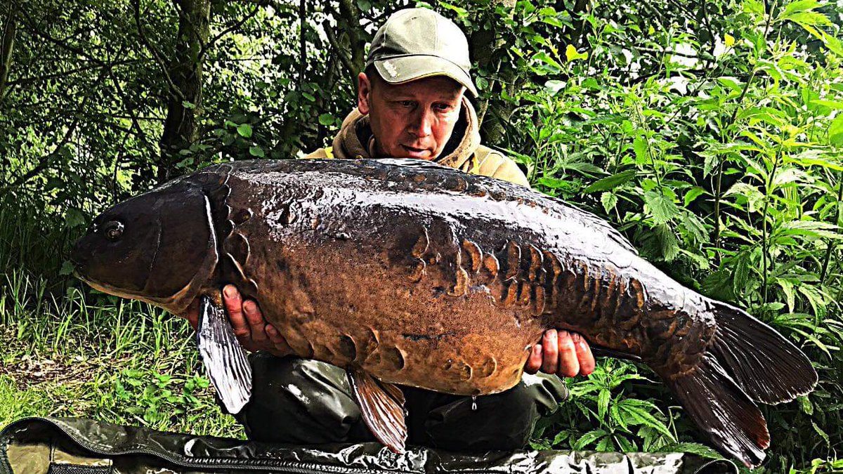 TaskaCarp's tweet photo. *********** Stunner Alert ***********

Taska consultant Mike Jones checks in on a Monday morning with this stunning dark scaley mirror, Mike definitely can't put a foot wrong at the moment.

#stunner #scaleybanger #taskacarp #originalTungsten https://t.co/iRVxvbdHQh