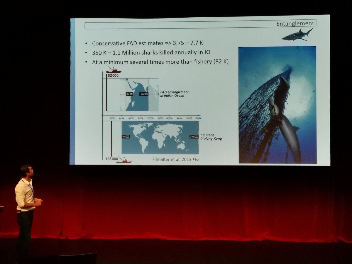 kbg_conserv's tweet photo. Conservative estimate of entangled silky sharks in FADs of about 350000 to 1.1million in Indian Ocean alone. Changed the way FADs are designed, and 4yrs later, no more entanglement. True example of how telemetry can be incorporated into conservation. #5thICFT #ICFT2019 https://t.co/BDhGvJZqBp