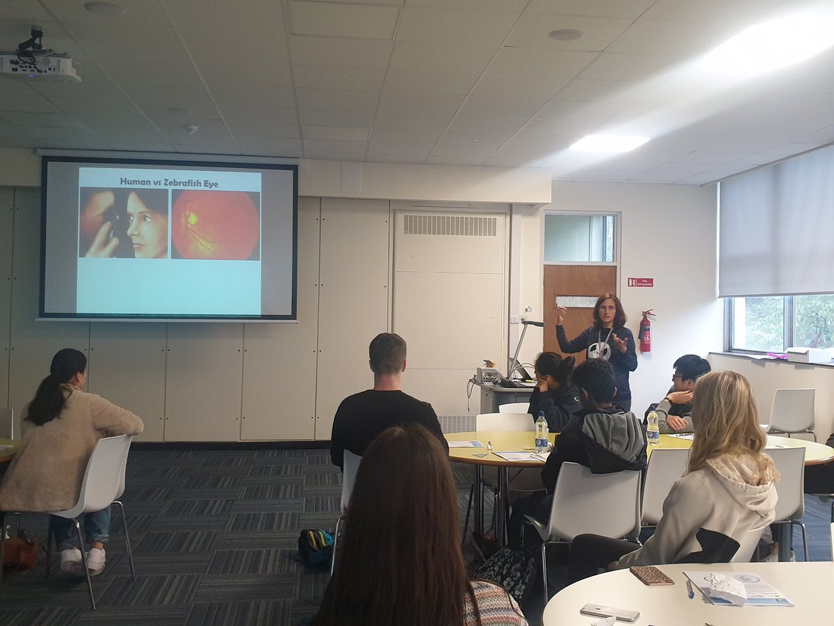 How can we use zebrafish to study a human disease? The fantastic <a href="/YolandaAVA/">Yolanda Alvarez</a> kicking off the Summer School this morning. 

<a href="/3dneonet/">3DNEONET Consortium</a> <a href="/ucdscience/">UCD Science</a> <a href="/fight_blindness/">Fighting Blindness</a> <a href="/bris/">bris</a>
