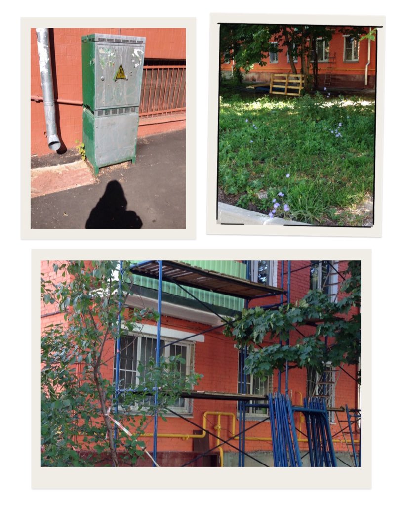 m_mikulina's tweet image. 