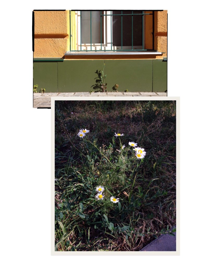 m_mikulina's tweet image. 