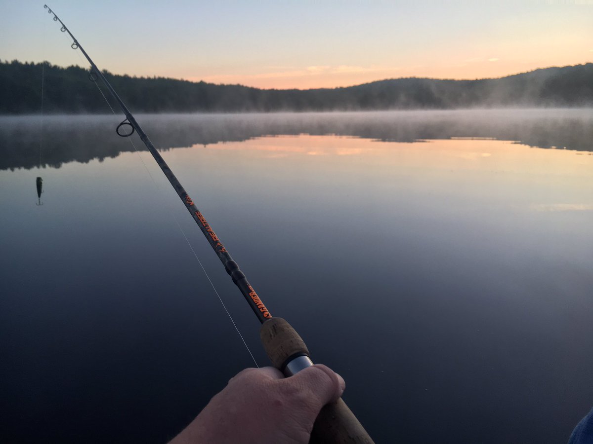 NateHosie's tweet image. Gonna kick Monday off right 🎣🇺🇸#realtreefishing