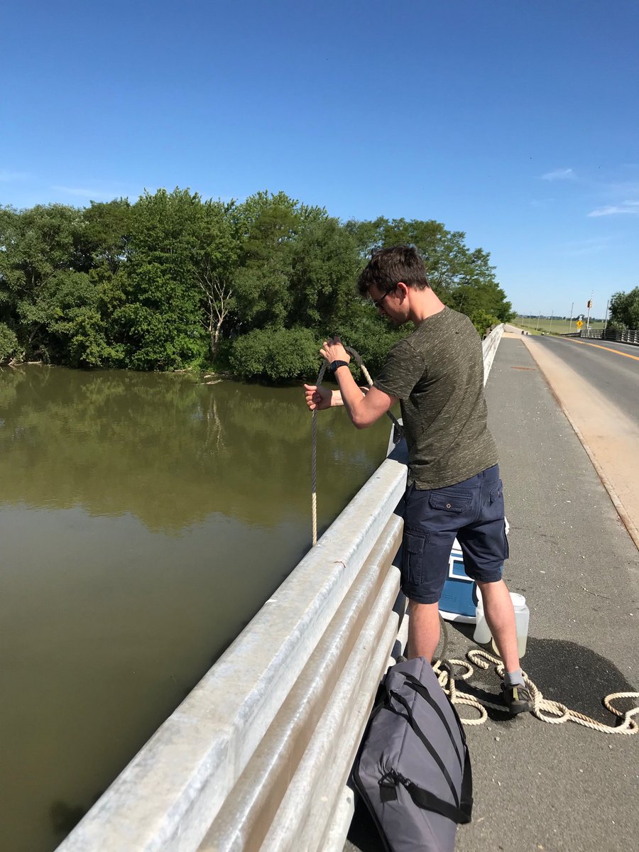 McKayGLIER's tweet photo. The #FunAqua begins! ⁦@ScienceUWindsor⁩ ⁦@GLIERUWINDSOR⁩ ⁦@thijsfrenken⁩ sampling 🇨🇦Thames River as part of ⁦@FunAqua_EE⁩ global aquatic fungi project. Next up: #LakeStClair. #chytrids https://t.co/iNmePatR44