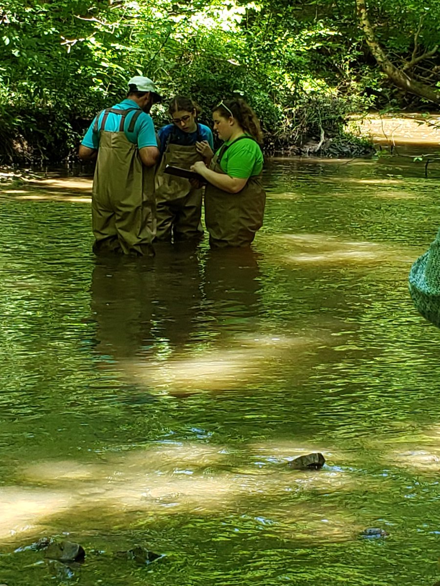 mslsass's tweet photo. The fun continues with stream ecology at Hiram! We compared two sites to measure the differences! #ourbmsa @LearnStreamInt https://t.co/cjT6U34F8A