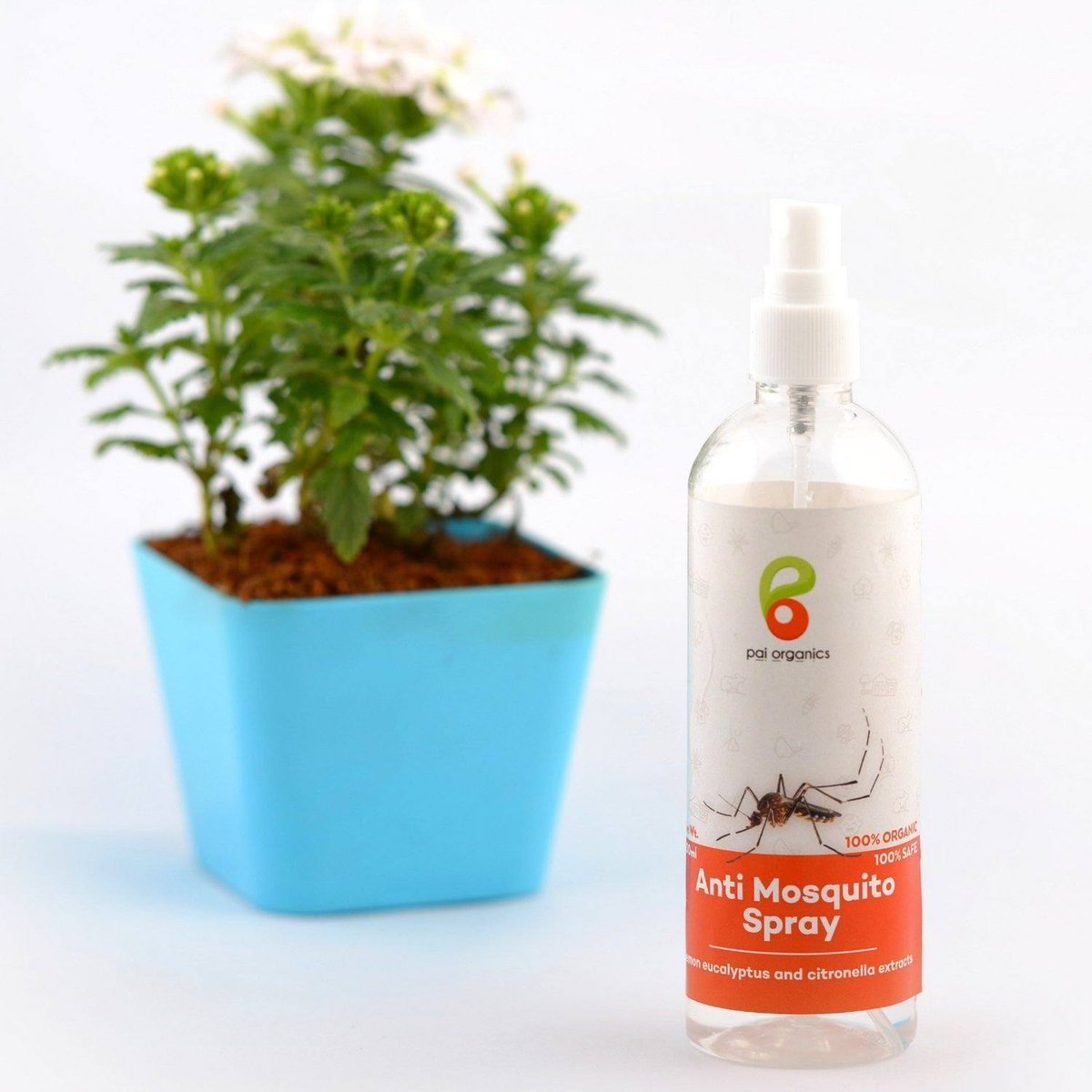Theimmart's tweet image. Anti Mosquito Spray | Certified Organic | Herbal Extracts #buyatwebsite #techlaunches
₹299
➤ bit.ly/2Mlv2zT