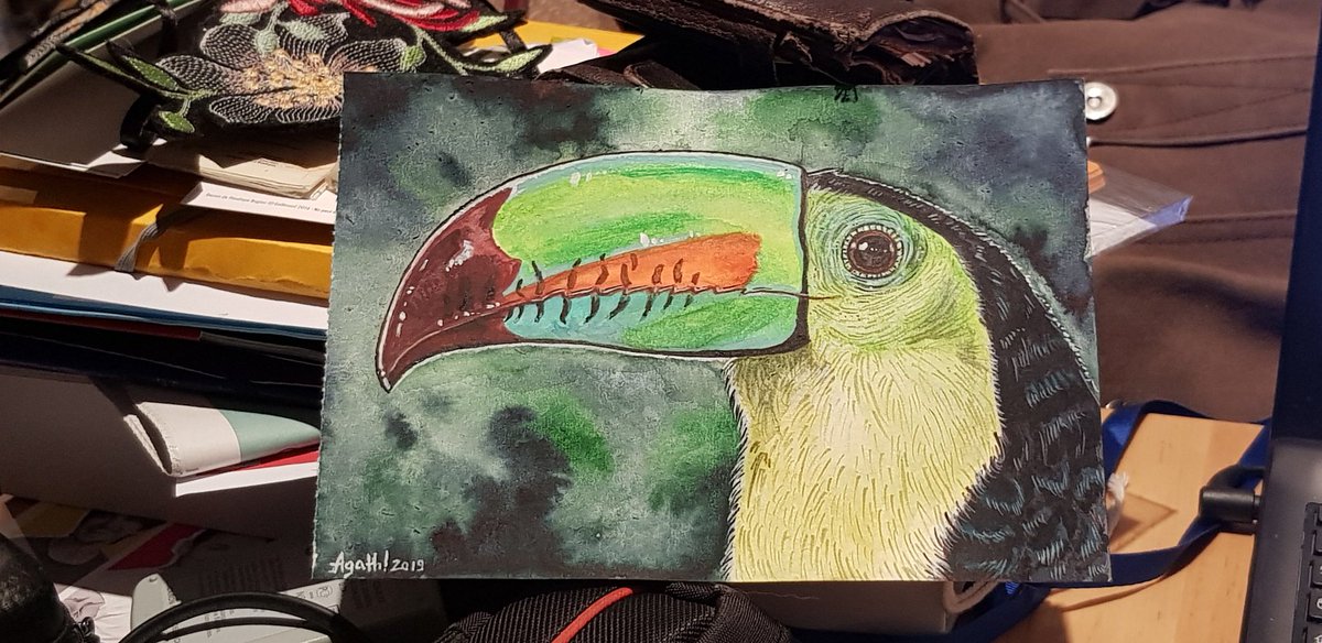 Leniddepie's tweet photo. 2e piaf pondu ce week-end: portrait d'un toucan à carène, à l'aquarelle. J'espère en vendre des prints à @japanexpo sur le stand @coMutMutandis ! Qui sera le prochain à se faire tirer le portrait ? https://t.co/sFUP4gMbB6