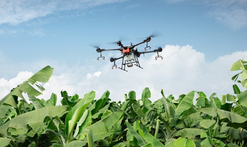 Agricultura 4.0 y la importancia del uso de drones
ow.ly/yXlI50uL8QP