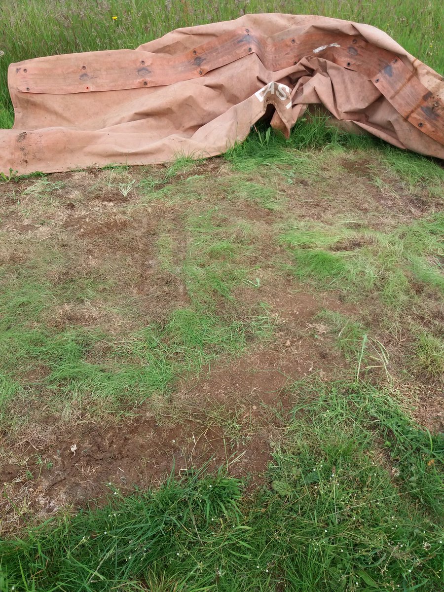 Cranmore Cricket Club tweet media