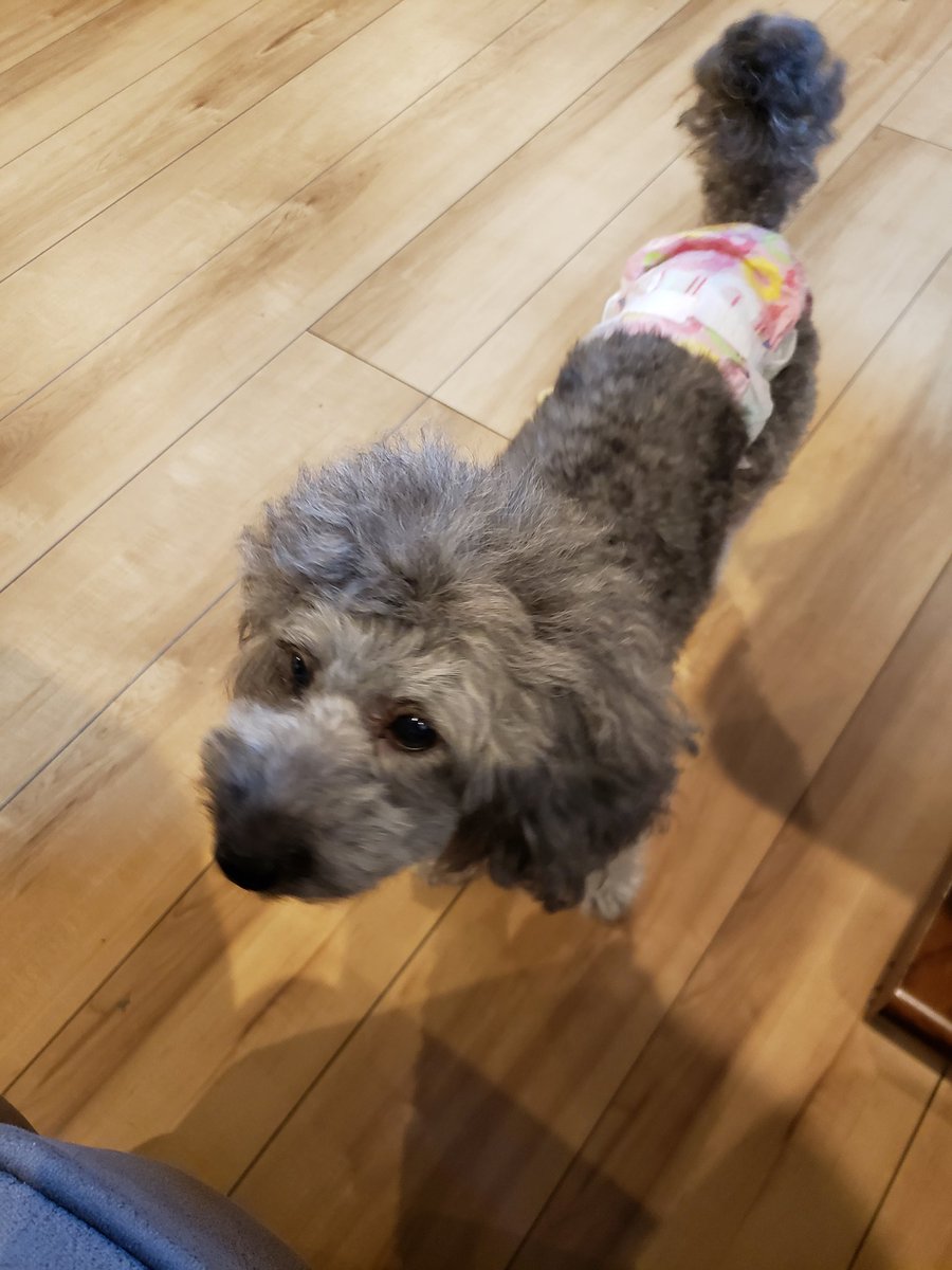 EisukeIke's tweet image. ジッケンシツ:D、準備中。
#OracleSession