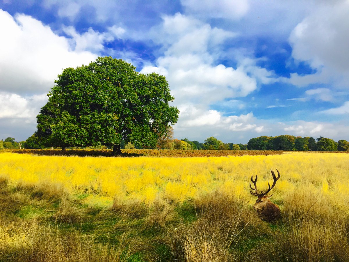 virtualstock's tweet photo. We’ve started a #photographic competition to showcase the creative eye of the #Virtualstock team. 1st winners are @Procure4Health in the Landscape/#Nature category &amp; @timjohnferguson in the Funniest #Photo category for a pic of his children caught in the moment - well done guys! https://t.co/3dZRzValkB