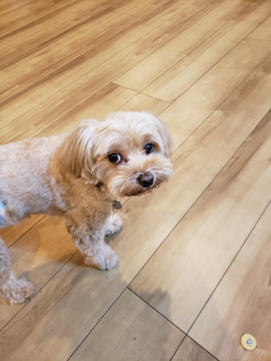 EisukeIke's tweet image. ジッケンシツ:D、準備中。
#OracleSession