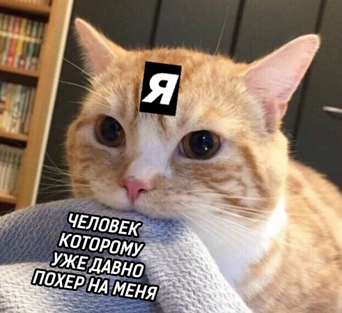 Ужасные мемы (@so_mad_so_funny) on Twitter photo 