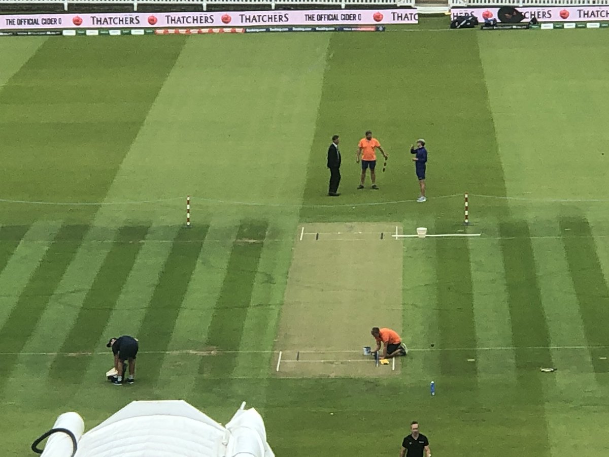 George Dobell on Twitter: &quot;The pitch for England v Australia at lord's tomorrow. It's the strip in the middle. The lighter shade of green.… &quot;