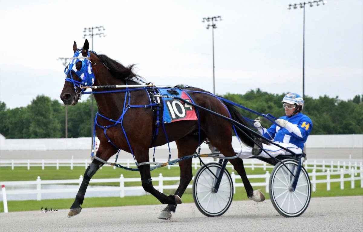 hoosiernations's tweet photo. GoodMorning @Chris_wponies @JoannKi32885615 @rebelsart @jtlburn @kimberlymoier @GlenPeckinpaugh @DawnPeckinpaugh @vnssa926 @KathleenBaitzel @elliotgordon2 @blongphee67 @joe_norte @tlvonline @GlenRmiller64 @SadandSulk @musicalhossgal #FeelinLikaWinner #DaleHiteman #PlayHP https://t.co/oNszUaj73m