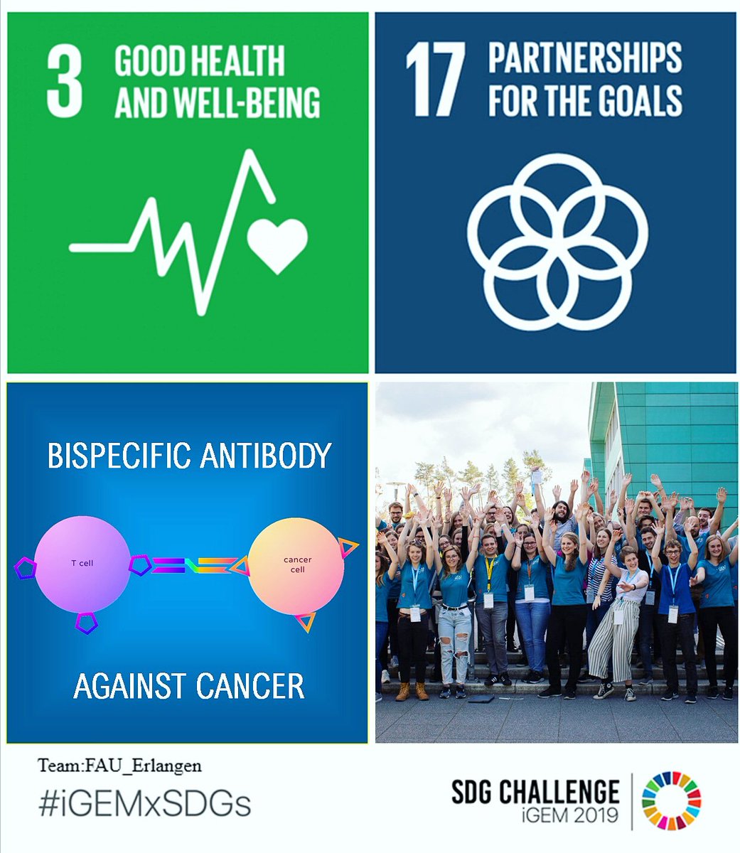 We’ve been tagged at the #igemxsdgs challenge for the sustainable development goals of the UN.🌍
We create a bispecific antibody against collorectal cancer (#3) and organised the #collaborationmeetup (#17). We tagg <a href="/igemvienna/">iGEM_Vienna</a>, @iGEMmarburg2019, <a href="/IgemStrasbourg/">iGEM Strasbourg</a> and <a href="/IHd2019/">iGEM_HD2019</a>