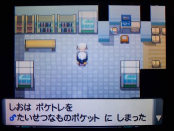 ポケトレ実践 ダイヤモンド 第2次ポリゴンショック 塩 わい的ポケ色廃人