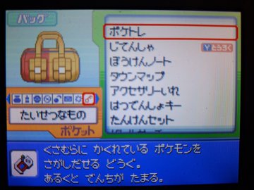 ポケトレ実践 ダイヤモンド 第2次ポリゴンショック 塩 わい的ポケ色廃人