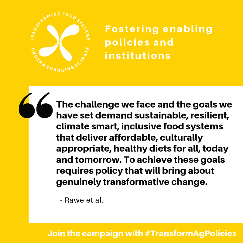 WorldFishCenter's tweet photo. #NewPaper on potential policy areas for catalyzing change to #TransformFoodSystems: 1) reduce emissions + increase resilience, 2) tackle food loss/waste, 3) more nutritious & sustainable diets. Read the full report: https://t.co/kMGNwkEwGm #TransformAgPolicies #AgTransform @CGIAR https://t.co/MEkfbR2DVH