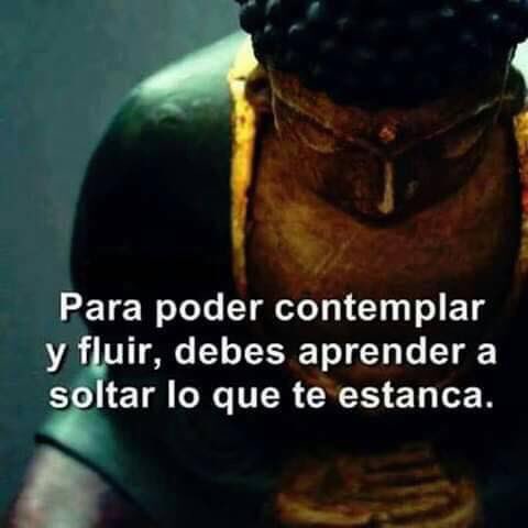 Mo_Montemurro's tweet photo. #BuenaSemanaParaTod@s ❣️
Si te hace mal, soltalo. #Practicalo #Namasté https://t.co/DJN88KxYei