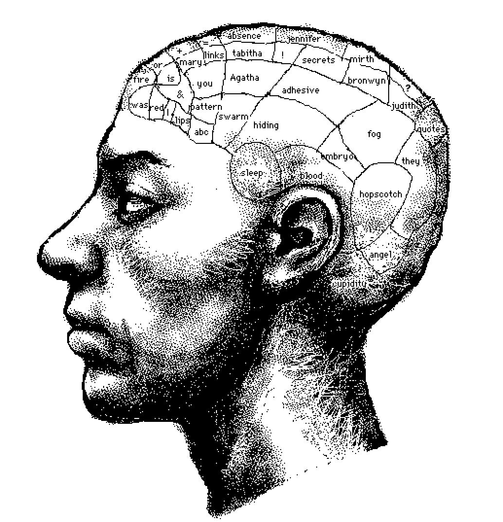 Electronic Literature Review tweet media