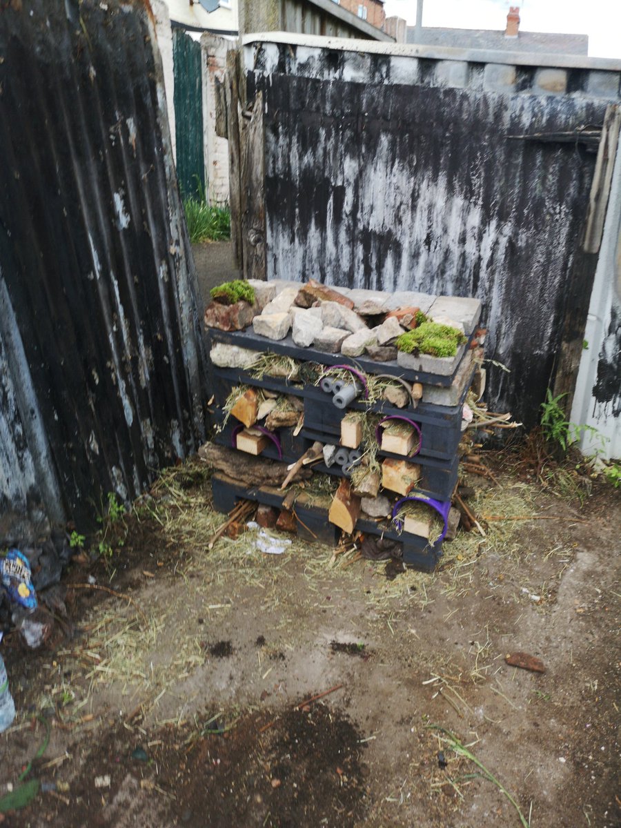 joanna_pem's tweet photo. Getting our bug and frog garden prepared from a derelict one in Ellesmere Port Town Centre @marksandspencer #volunteersareamazing @InbloomPort https://t.co/48Jli5XtnL