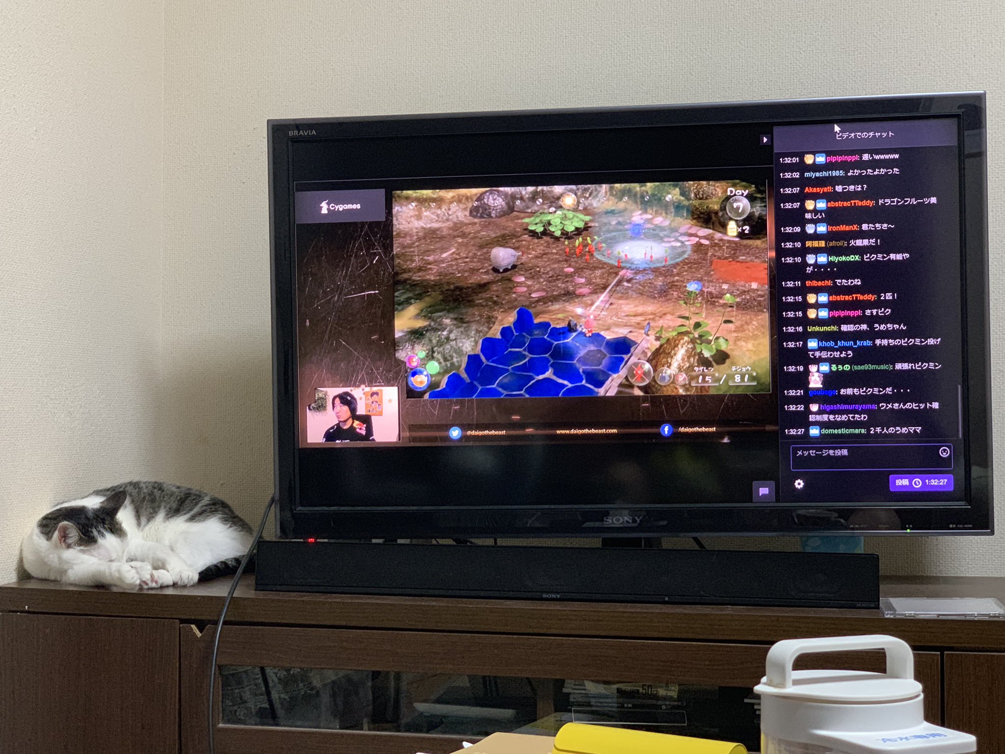 コーゼット Auf Twitter 奥さんと テレビにpc映してウメさんの 過去の 配信ピクミン見てるんだがピクミン好きの奥さんが予想以上に かぶりつき な件 てか二人でウメさんの配信見るようになるとは思わなんだ ウメさん ありがとー