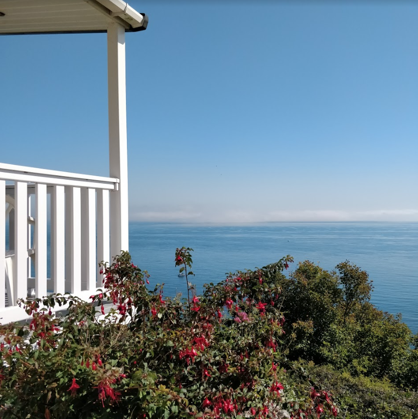 HayloftCafe's tweet photo. The Great British Staycation! Get 15% off bookings made in June at Cove Park - contact our Cove Park team for more info.  https://t.co/WWT3HoPbps
.
.
.
.
#holidaydeals #holidayideas #coastalholiday 
#holidaypark #jurassiccoast #summerholiday 
#summerdeals #staycation #happymonday https://t.co/aMtS1WA80g
