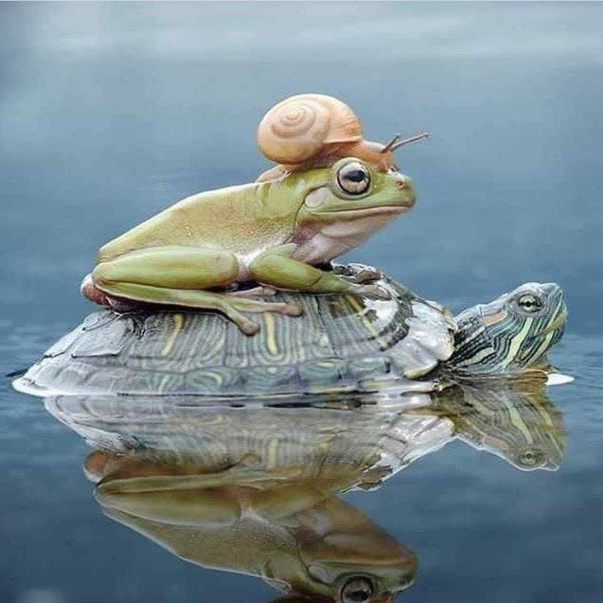 It takes all kind of different folks to make changes. I can always use a “little help from my friends”!
Help us eliminate the Strain Drain ... join us in our campaign! Not cronies from his home parish, not for just the chosen political friends. bit.ly/2WZEe10