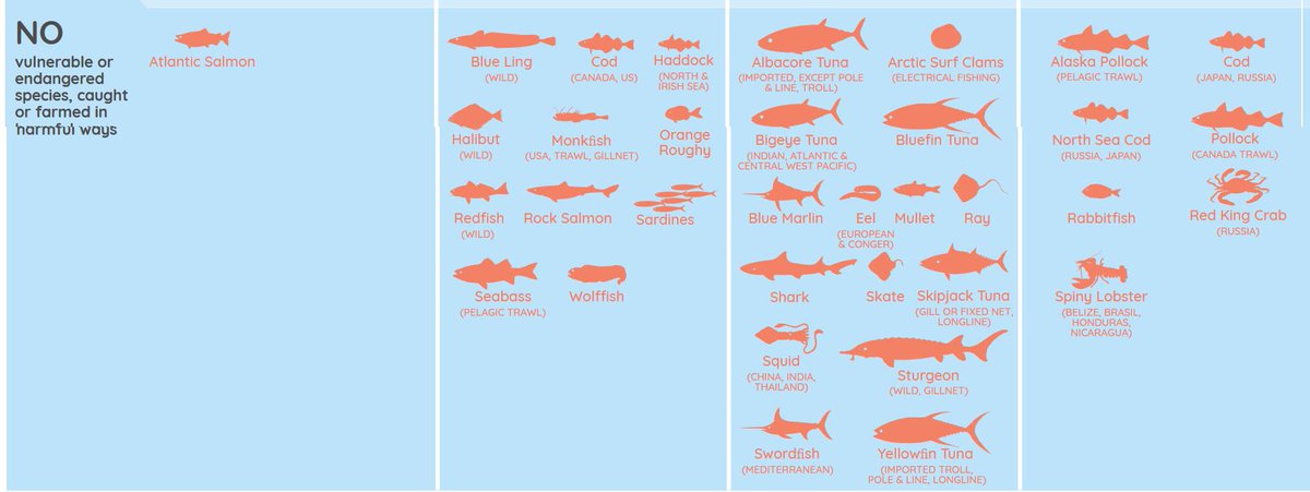 Spica Pa Twitter 食べられる魚 多分食べられる魚 食べられない魚 毒があるというのではなく絶滅危険性の有無の問題 T Co J4eax0vnd2