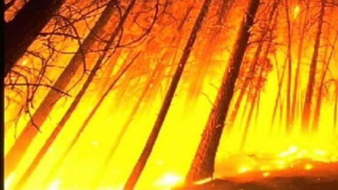 We are a spark away from a catastrophe!
bit.ly/2xdZWDK