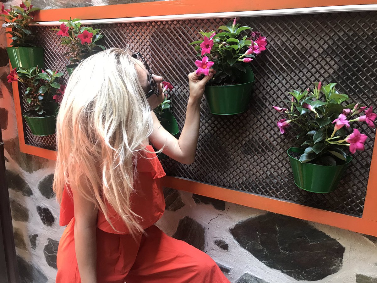 #herşeyçokgüzelolacak Miko’🍷#cafemiko #mikocafe #wine #vino #şarap #spaghetti #pasta #sevgi #cafe #bestfoodfeed #foodporn #friends #friendship #arkadaşlık #dinner #yemek #izmir #alsancak #konak #gourmet #gurme #bacon #eggs #merengue #mereng #sweet #coffee #coffeeart