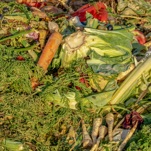 Agri_Normandie's tweet image. Enquête d'@Area_Normandie sur les gisements &amp;amp; valorisations des #coproduits des entreprises #agroalimentaires normandes. 
⏩ Identifier les leviers d'optimisation de valorisation des coproduits
bit.ly/2LdlIjg
Avec #Réséda, l’@ademe Normandie et la @RegionNormandie