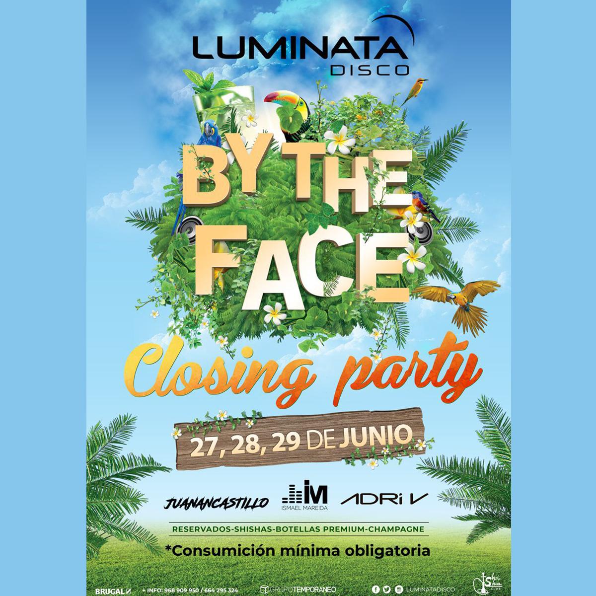 Luminata Disco tweet media