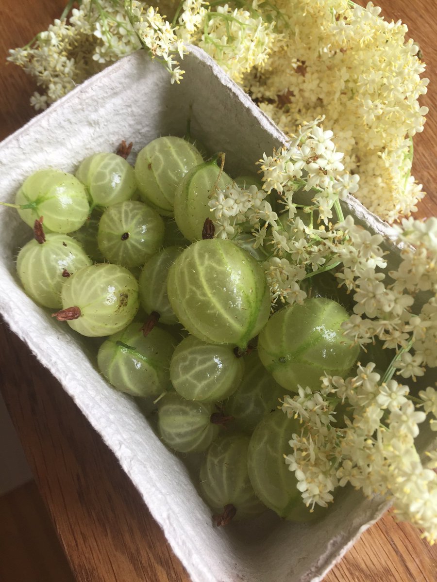 From the market, #organic gooseberries in biodegradable carton. Supermarkets? No gooseberries and a sea of #plastic