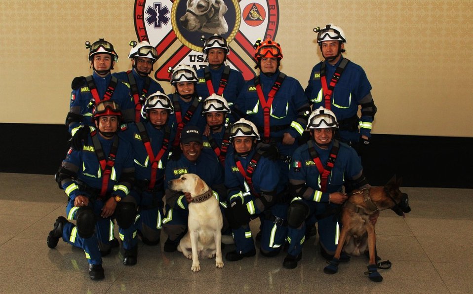 nmaspuebla's tweet photo. #PerritaFrida, rescatista del 19-S, se jubiló hoy en el día del #Socorrista. https://t.co/qnxFLqUTBm