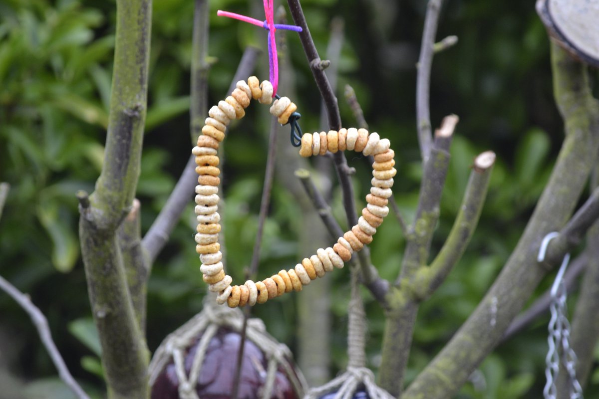 Tuesday fun coming up ...

1.30-2.30 Humpty Dumpty song and story time

3.15-4.15 Family fun time with Lego, Hama beads and cheerio bird feeders