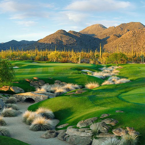 MaranaSchools's tweet photo. It's time to register for the 6th Annual Marana Schools' 2340 Foundation​ Golf Classic at The Gallery Golf Club, Mon. Sept. 9, 2019! 11am Registration/Boxed Lunch; 1pm Shotgun; Dinner following tournament. Visit https://t.co/yoJefNclvq for info &amp; registration. #maranaschools https://t.co/msqfY8VnaT