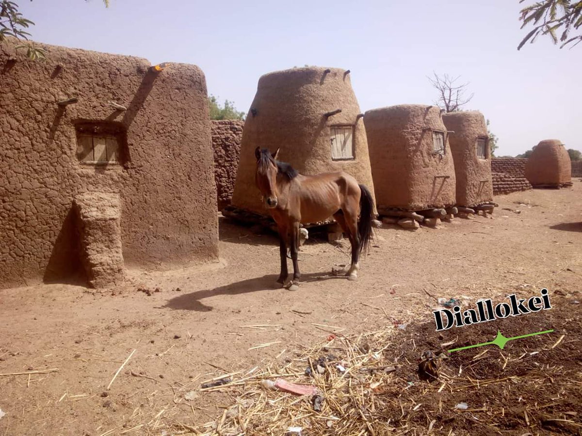 diallokei's tweet photo. Cette photo a été prise dans un village à quelques kilomètres de #Ouan au centre du pays l'an dernier.
Je ne suis pas sûr de pouvoir y remettre pied 🚶♂️ aujourd'hui. 😢
#TropDeMorts 😥 https://t.co/VhxRjvUdgz