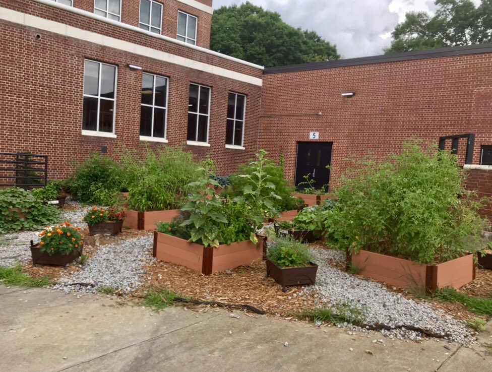 Thank you to @GeorgiaShape for giving $2000, to @Lowes for giving $5000, and much support from administrators, to provide an amazing garden for our students @hapevillehawks! @HapevillePrin @FultonCoSchools @FCSGrantChamps