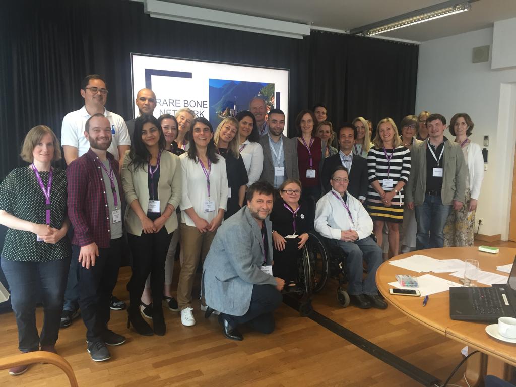 ern_bond's tweet image. The first meeting of the Rare Bone Network: BOND ERN has given its active contribution!  #ERNBOND #RareBoneNetwork #rarebonediseases