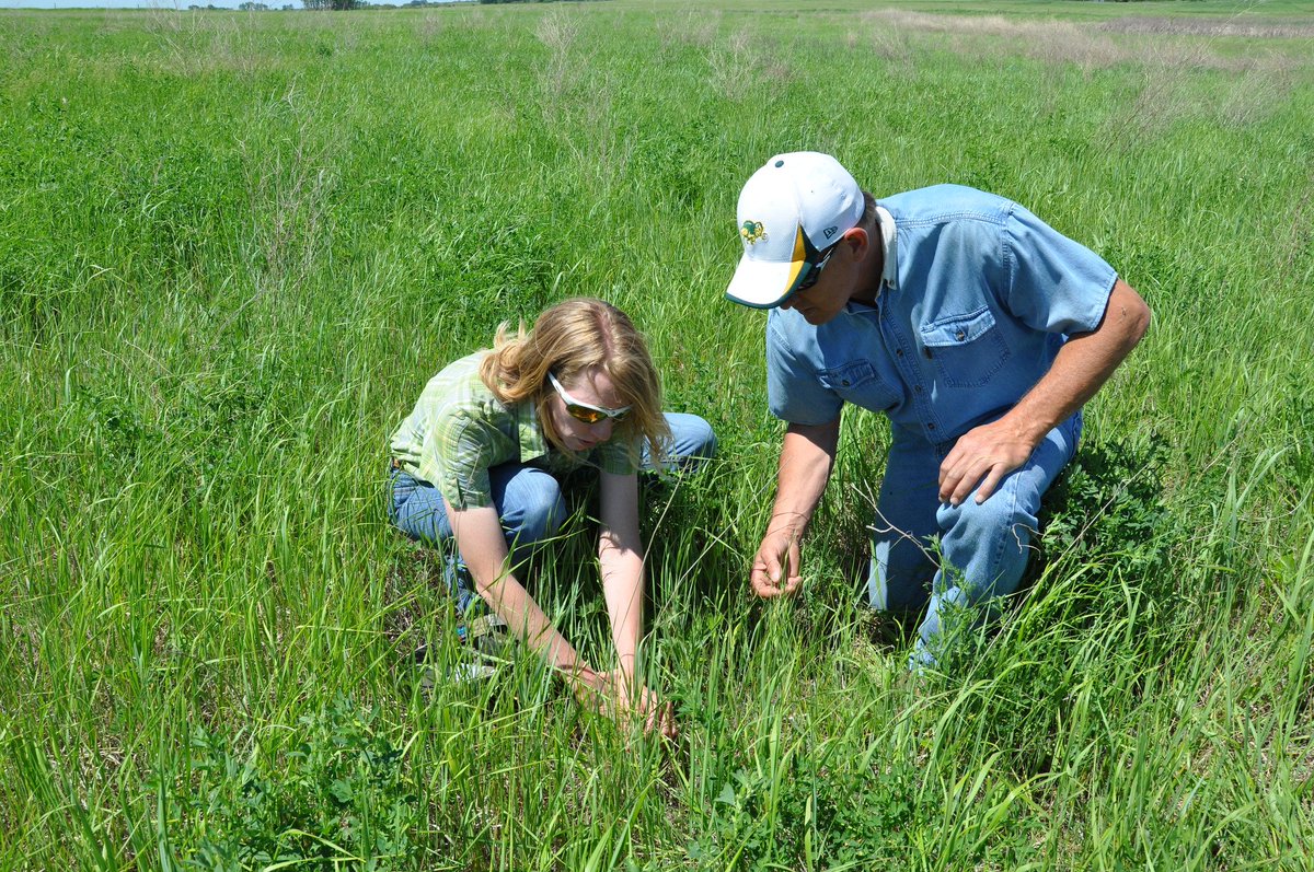 FarmersGov's tweet image. #Farmers and #ranchers with expiring Conservation Reserve Program contracts may now re-enroll in certain CRP continuous signup practices or, if eligible, select a one-year contract extension. To find out more, visit: go.usa.gov/xyCY4.