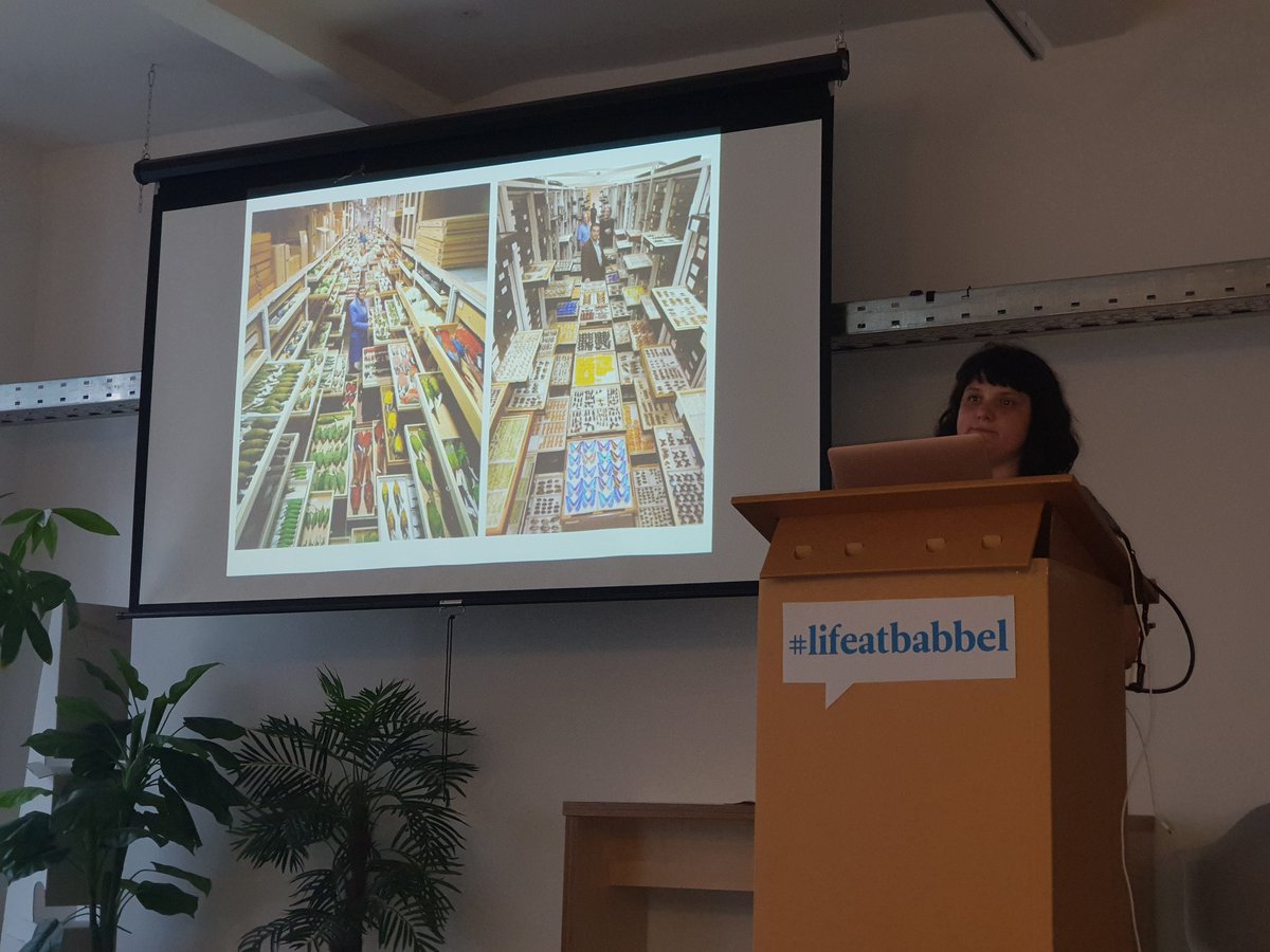 MsHanTil's tweet photo. Some people see only the butterfly, others the data behind it. Thank you @CieraReports giving us some insides @RLadiesBerlin
#rladies #rstats #lifeatbabbel https://t.co/U7lbl1WPMi